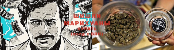 индика Пересвет