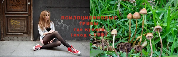 соль курить ск Беломорск