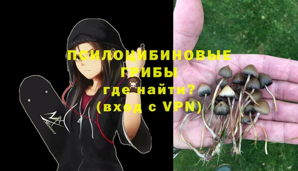 индика Пересвет